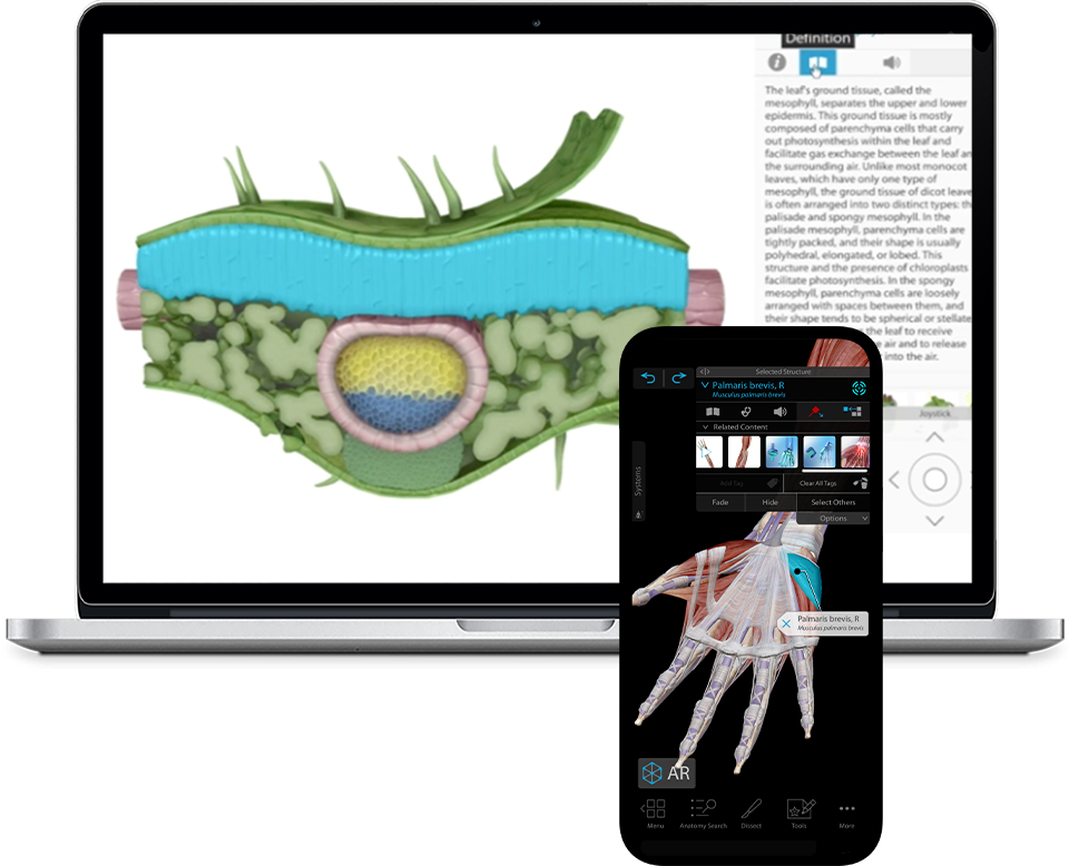 anatomy course being shown on iPad and iPhone